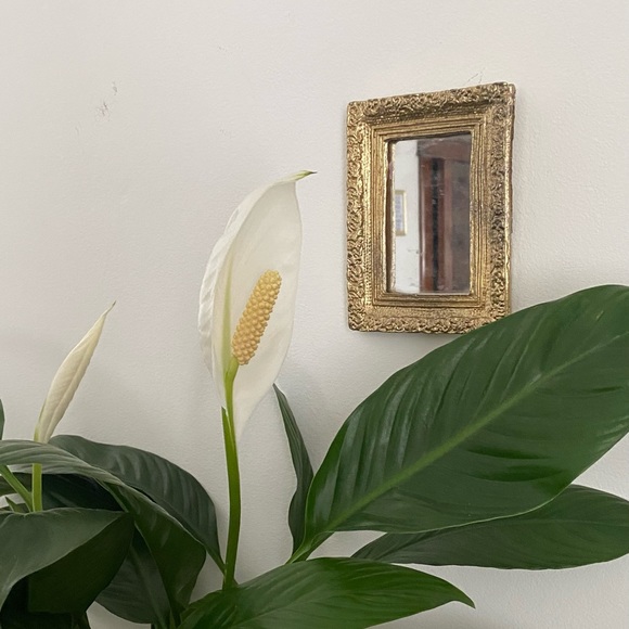 Meet your Posher, Sierra - Picture 13 of 14